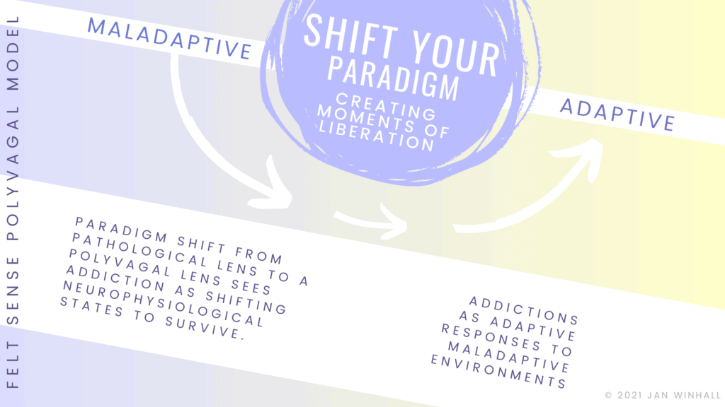 Polyvagal Model of Addiction