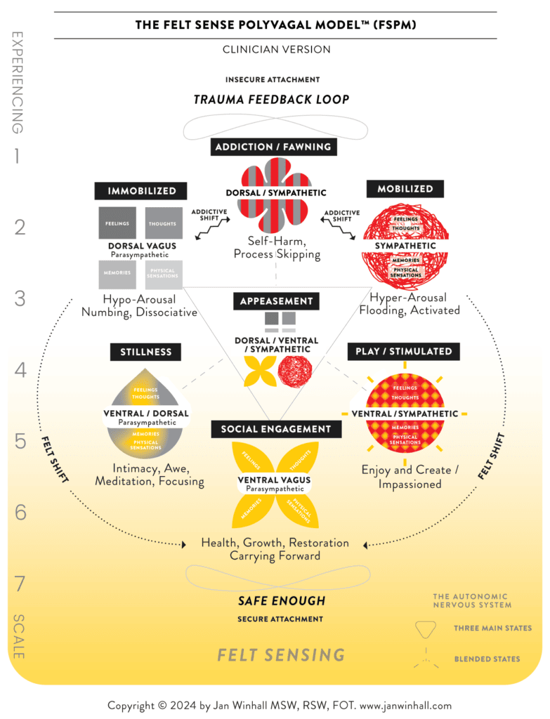 Clinician Model